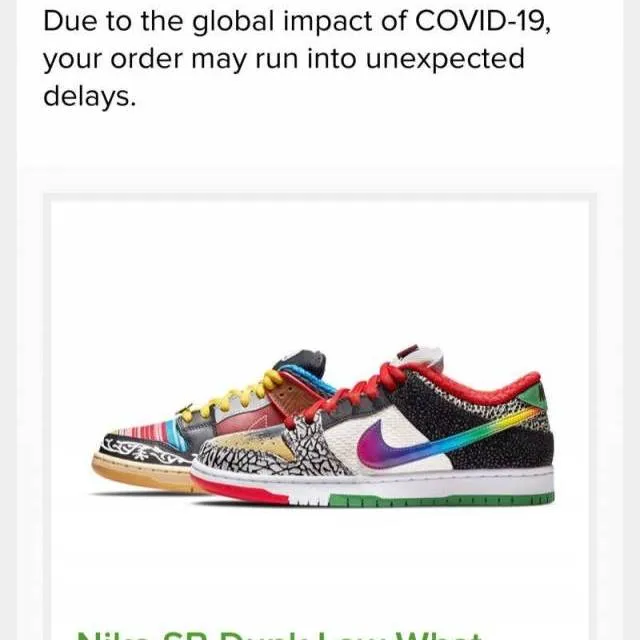 Nike sb dunk low what the paul